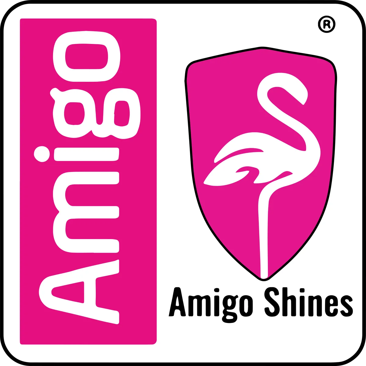 amigoshines.com